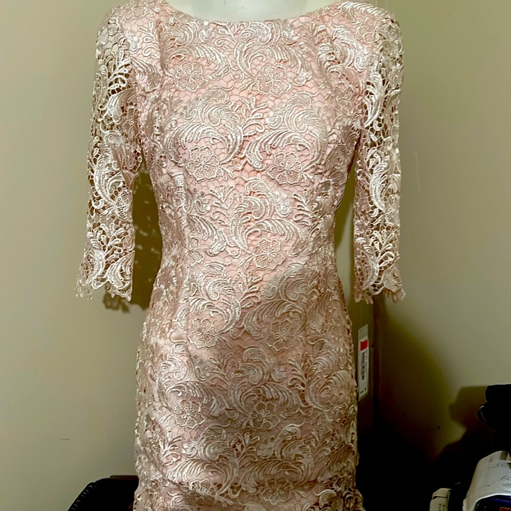 Eliza J Lace Dress elbow Sleeve Blush Pink/ cream Size 4 nwt